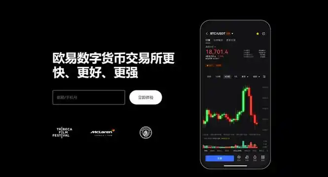 988PAY官网下载平台展示图